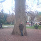 Алексей, 36