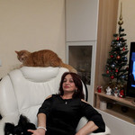 , 52