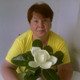 OLGA, 60 (1 , 0 )