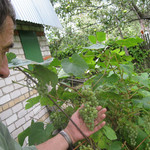 Александр, 78