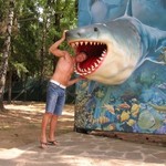 Dmitry, 42 (9 ����, 0 �����)