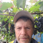 Николай, 68