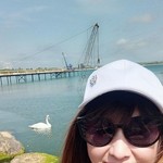 , 46 (5 , 0 )